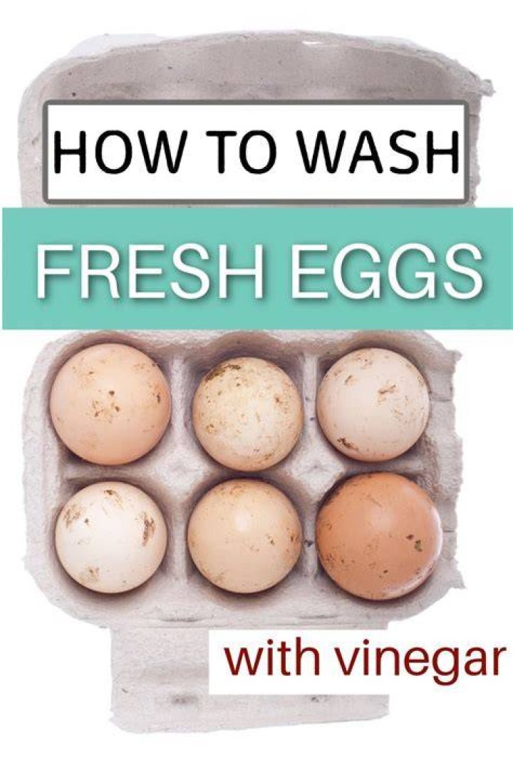 Does washing eggs reduce shelf life?