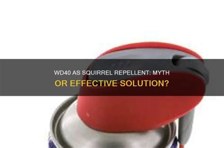 Does WD 40 repel squirrels?