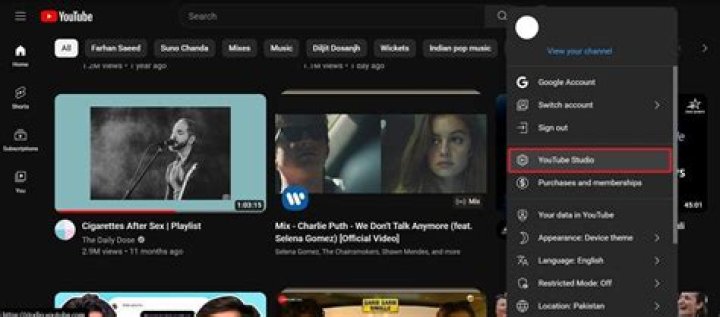 Does YouTube remove inappropriate videos?