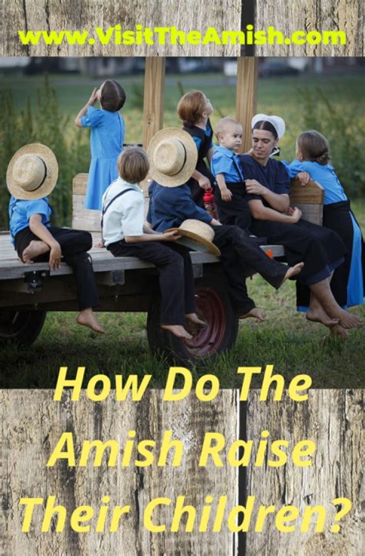 How are Amish kids educated?