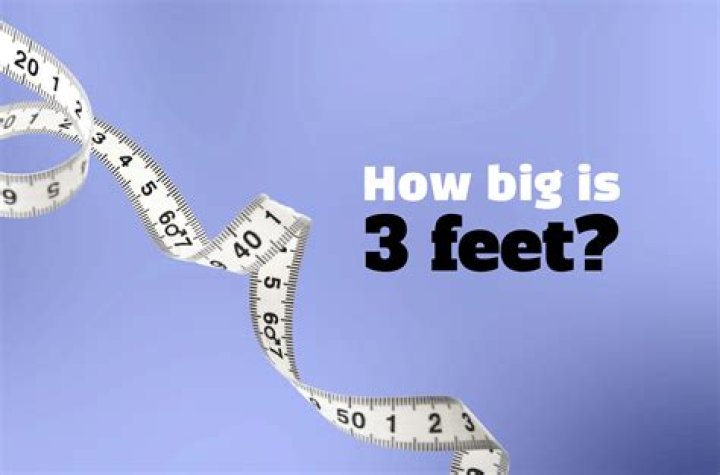How big is a detachment?