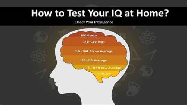 How can I test my IQ at home?