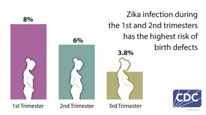 How common are birth defects from Zika?
