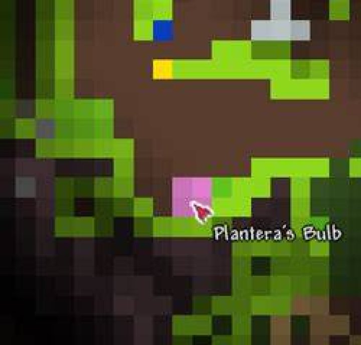 How deep is Plantera's bulb?