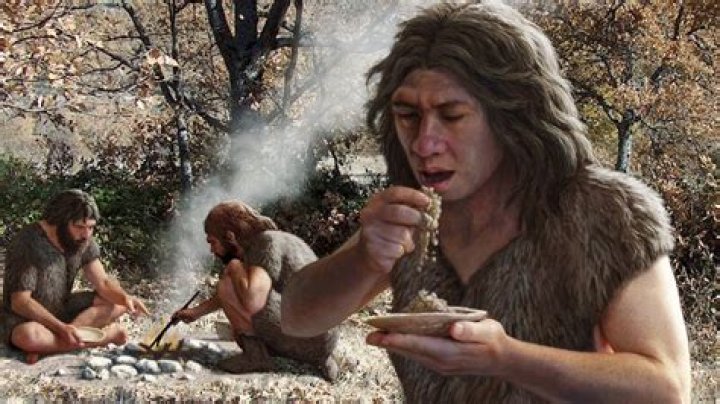 How did our ancestors eat raw meat?