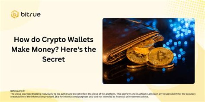 How do crypto wallets make money?
