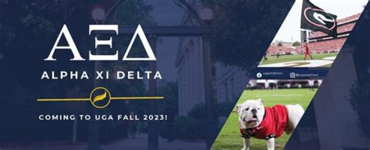 How do dogs decide who is Alpha?