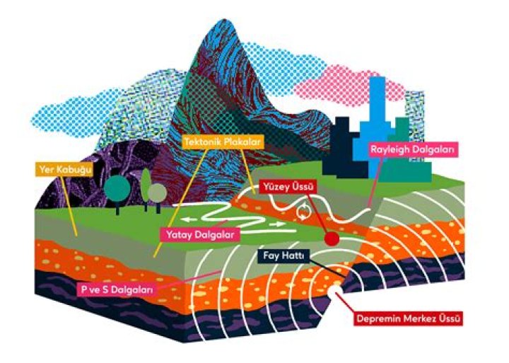 How do earthquakes affect plants and animals?