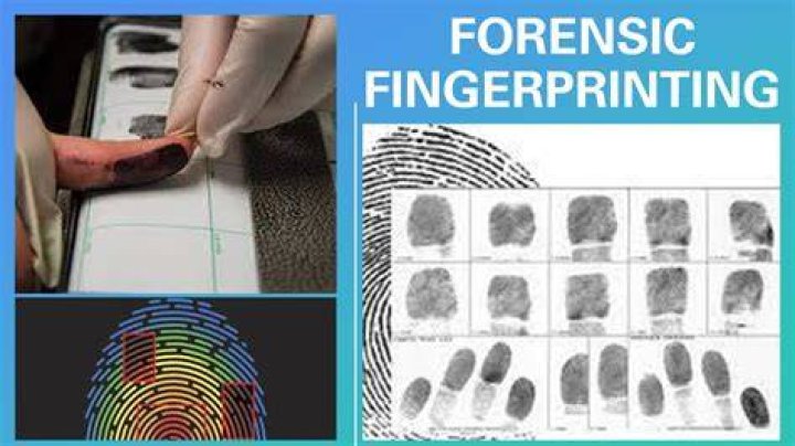 How do fingerprints work in a crime investigation?