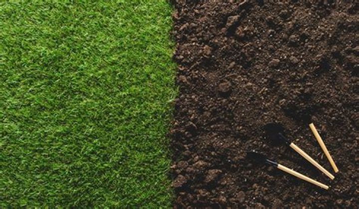 How do I fix compacted soil in my garden?