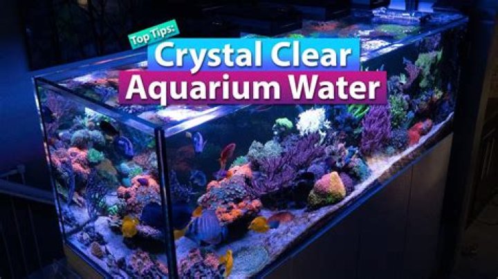 How do I get my fish tank water crystal clear?