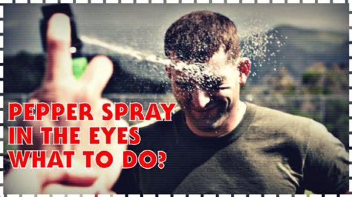 How do I get pepper spray off my dog?