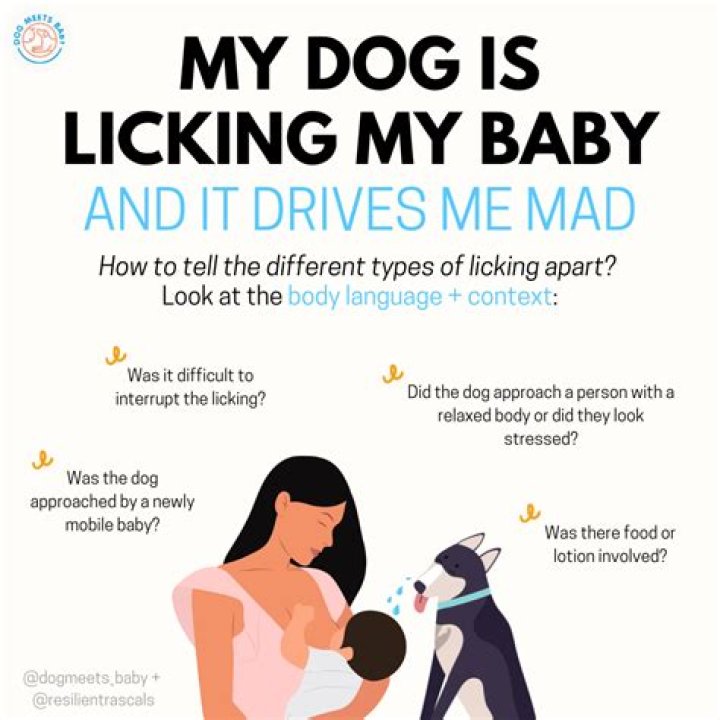 How do I know if my dog needs another dog?