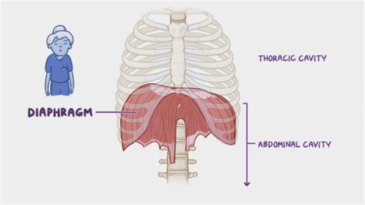 How do I open my diaphragm?