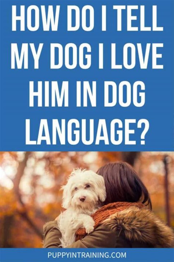 How do I tell my dog goodbye?