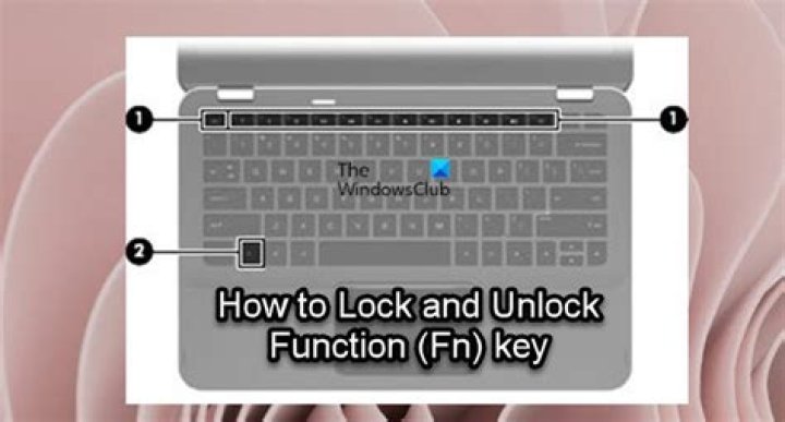 How do I use the function keys on my Lenovo laptop?