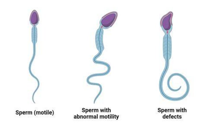 How do kids of sperm donors feel?