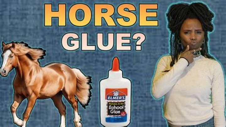How do they turn horses into glue?