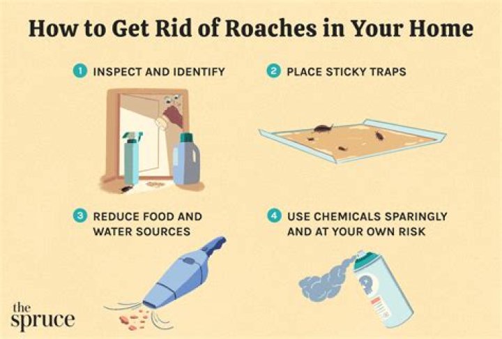 How do tree Roaches get in the house?