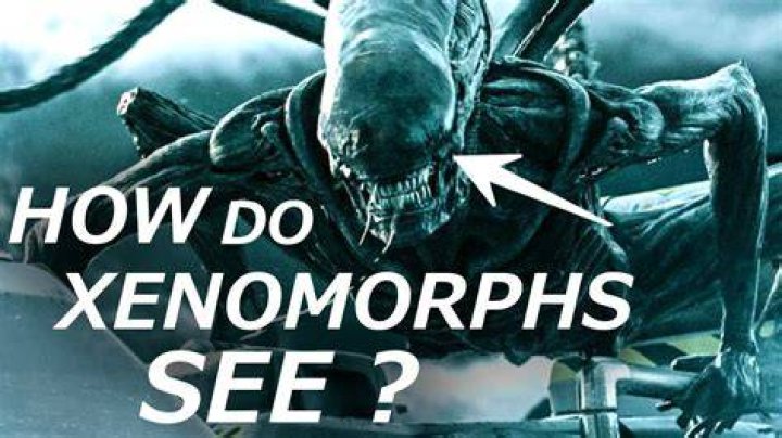 How do Xenomorphs see?