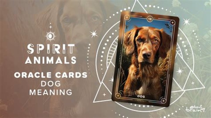 How do you break a dog spirit?