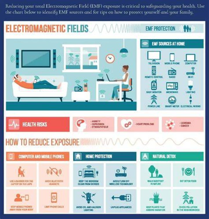 How do you check EMF levels in your home?