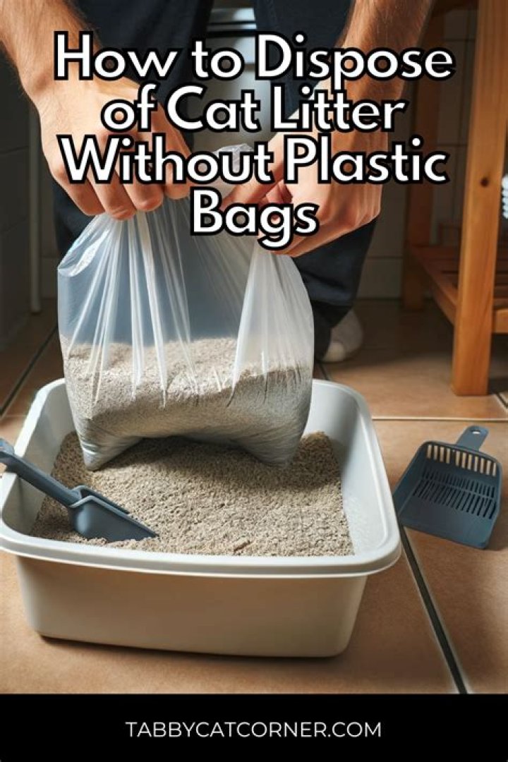 How do you dispose of cat litter without plastic bags?