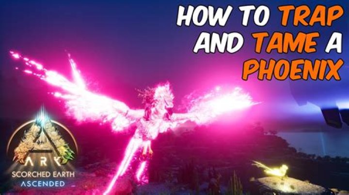 How do you get Phoenix in Ark?