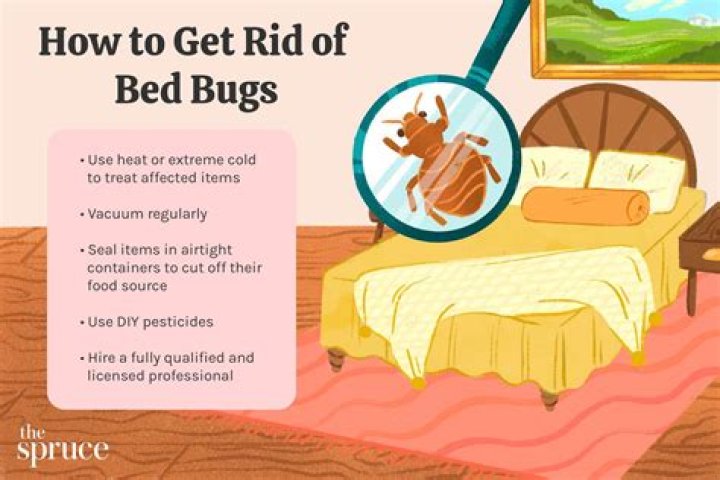 How do you get rid of dust mites in your bed?
