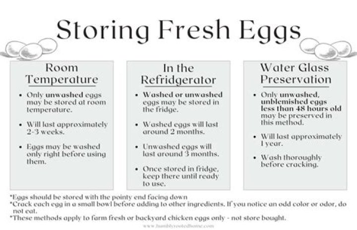 How do you keep eggs fresh for a long time?