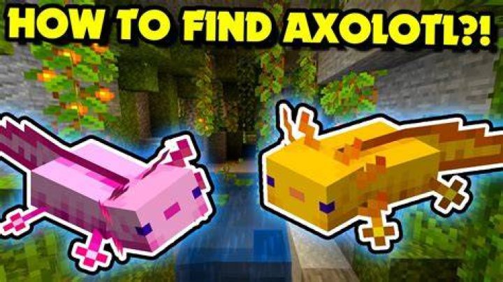How do you make an axolotl spin in Minecraft?