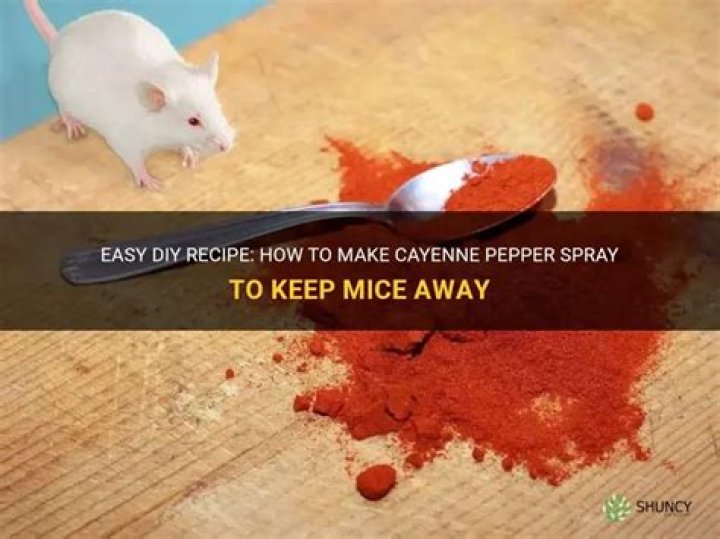 How do you make cayenne pepper spray for mice?