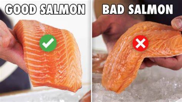 How do you make salmon not taste fishy?