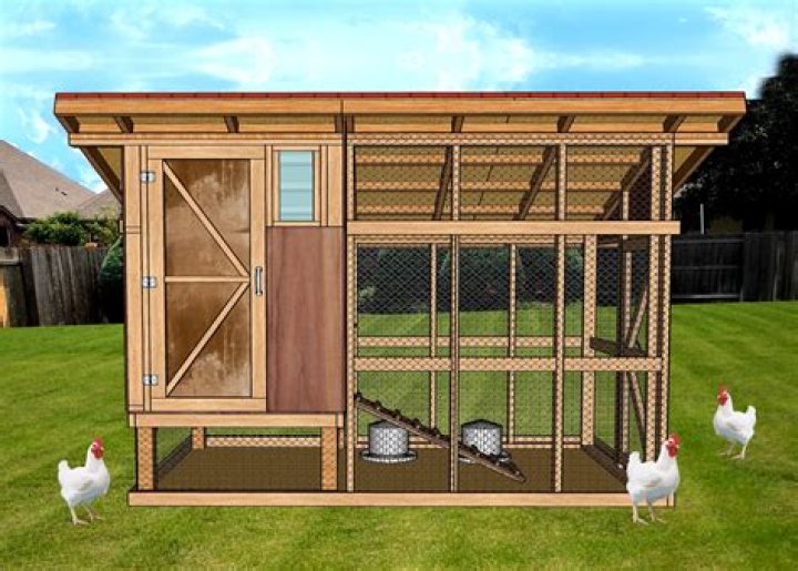How do you rat proof a chicken coop?