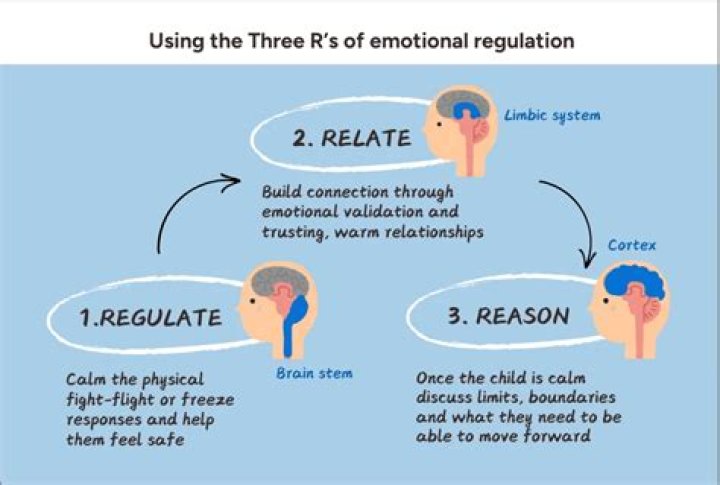 How do you relate a theory to a study?