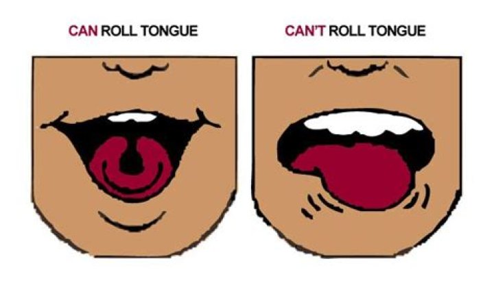 How do you roll your tongue?