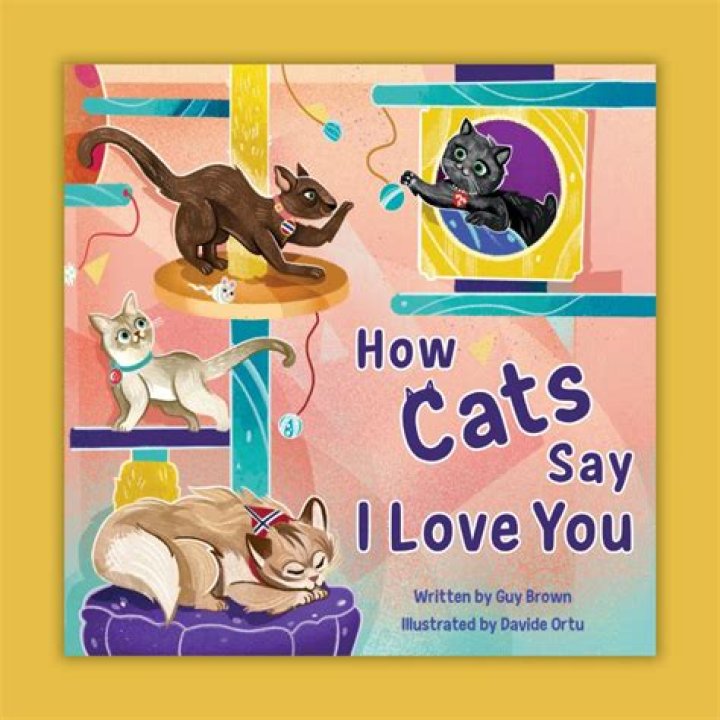 How do you say love you in cat?
