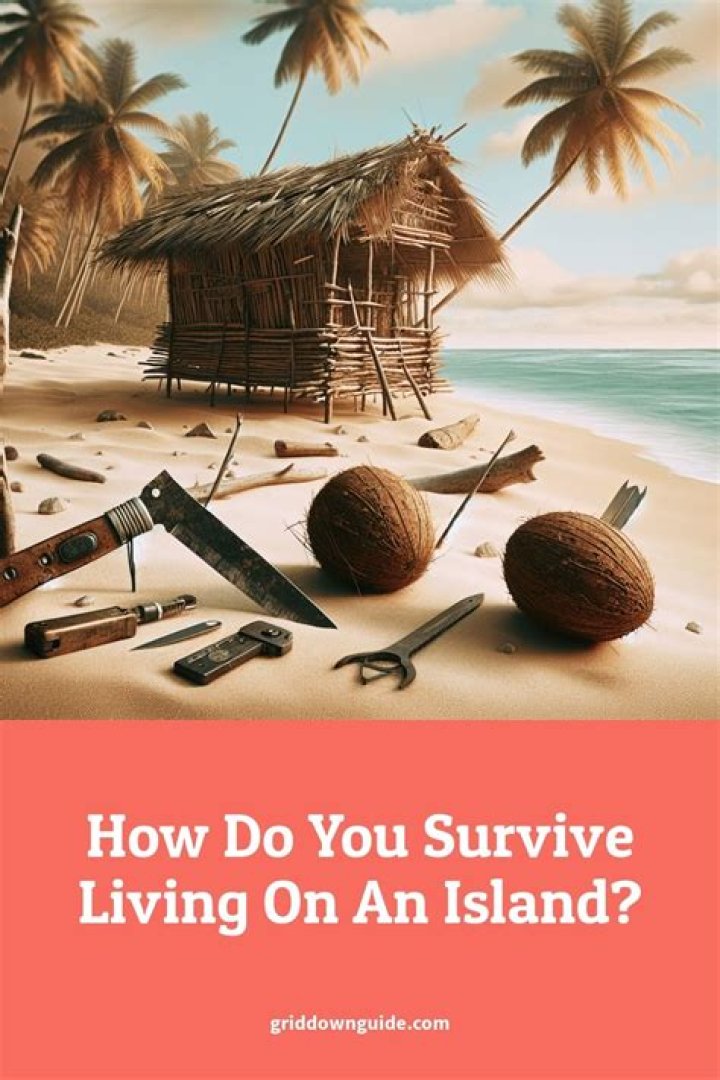 How do you survive living alone?