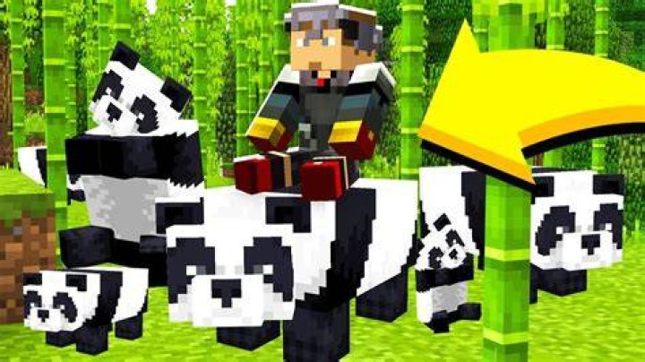 How do you tame a panda in Minecraft?