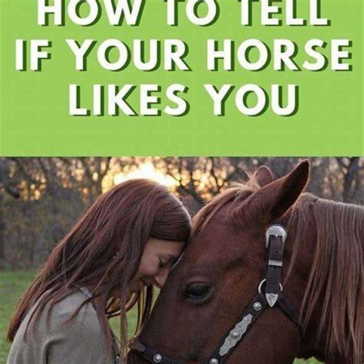 How do you tell if a horse is annoyed?
