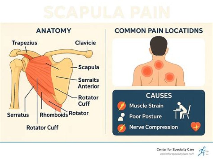 How do you test for crepitus?