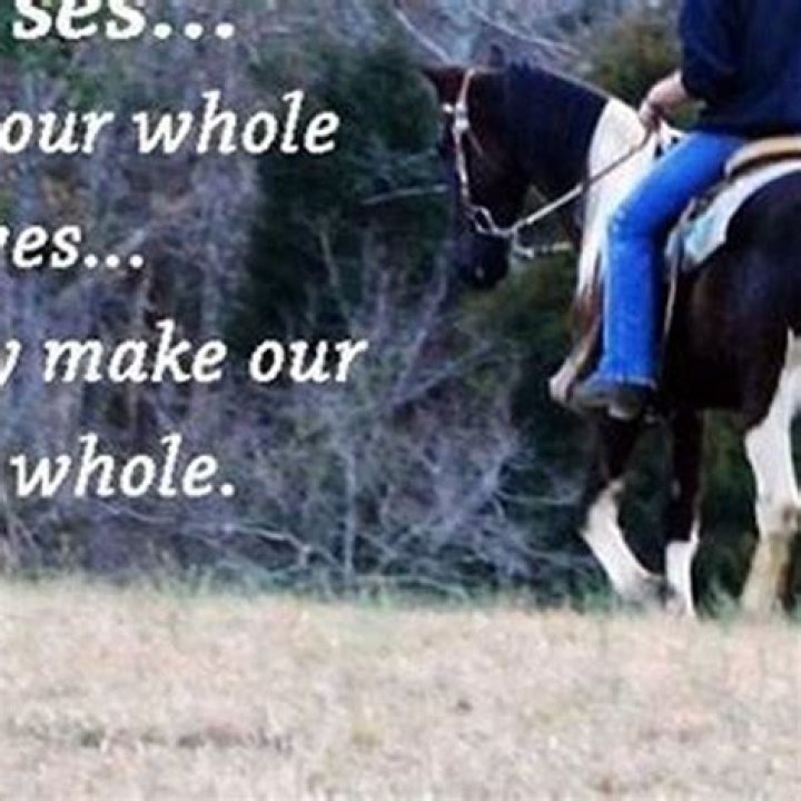 How do you walk a horse?