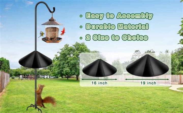 How high should I place squirrel baffle?