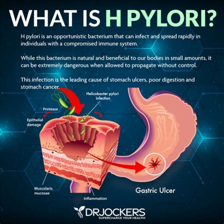 How long can H. pylori last?