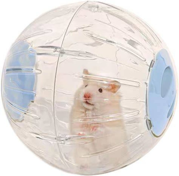 How long can you leave a hamster in a hamster ball?