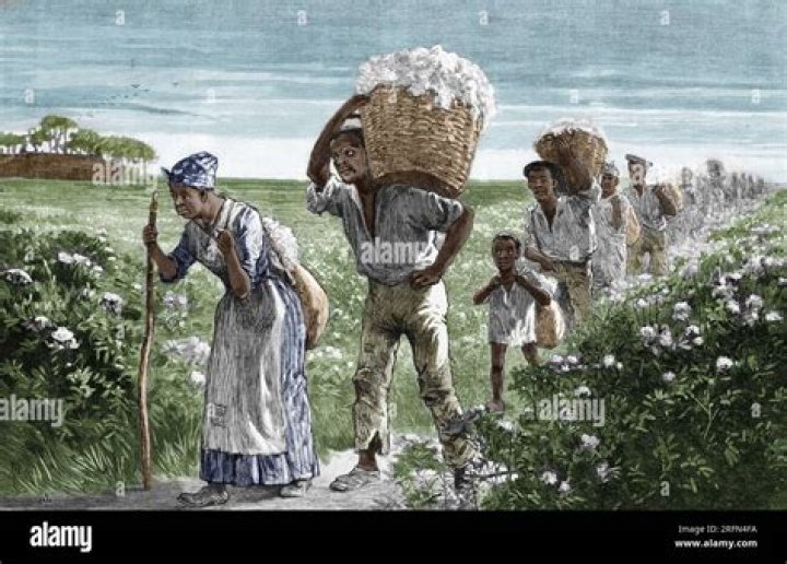 How long did it take slaves to pick cotton?
