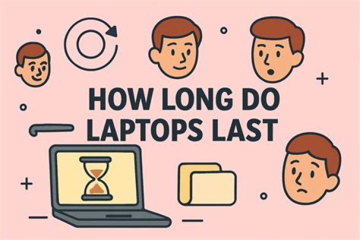 How long do cat memories last?