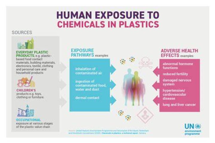 How long do toxic chemicals stay in the body?