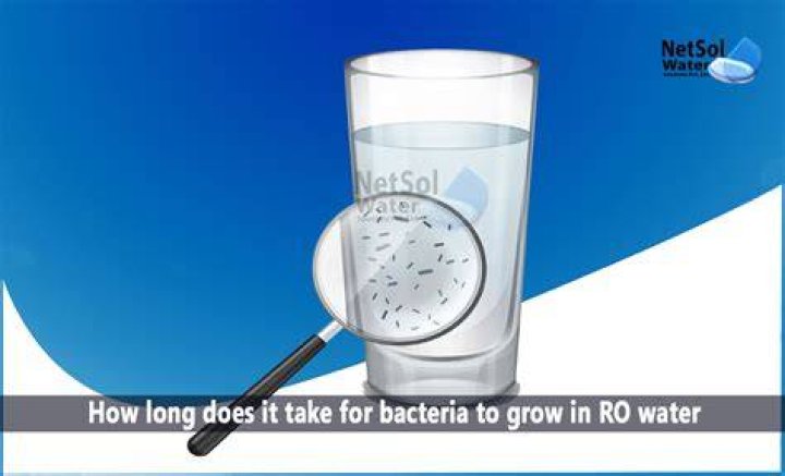 How long does it take for aquarium bacteria to grow?