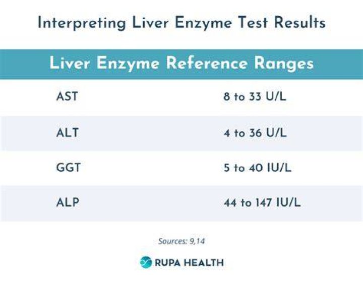 How long does it take for liver enzymes to return to normal?